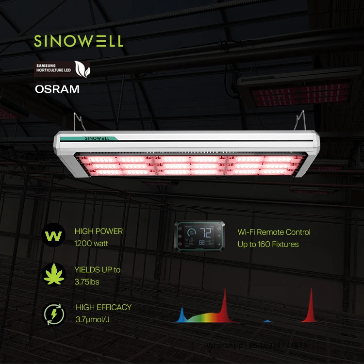 Flexsta Nova 3.7Umol/J Adjustable Lighting Distribution 800W 1200W Greenhouse Led Grow Light
Flexsta Nova 3.7Umol/J Adjustable Lighting Distribution 800W 1200W Greenhouse Led Grow Light