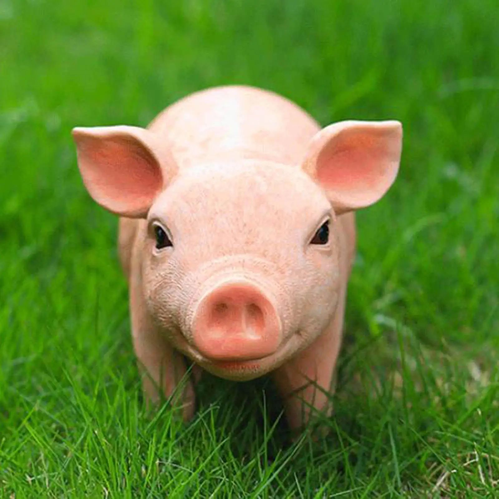 Animal Pig Home Garden Decor Resin Animal Statue Home Decoration Pig Garden Ornament for Garden Home Patio Indoor Outdoor Decor
Animal Pig Home Garden Decor Resin Animal Statue Home Decoration Pig Garden Ornament for Garden Home Patio Indoor Outdoor Decor