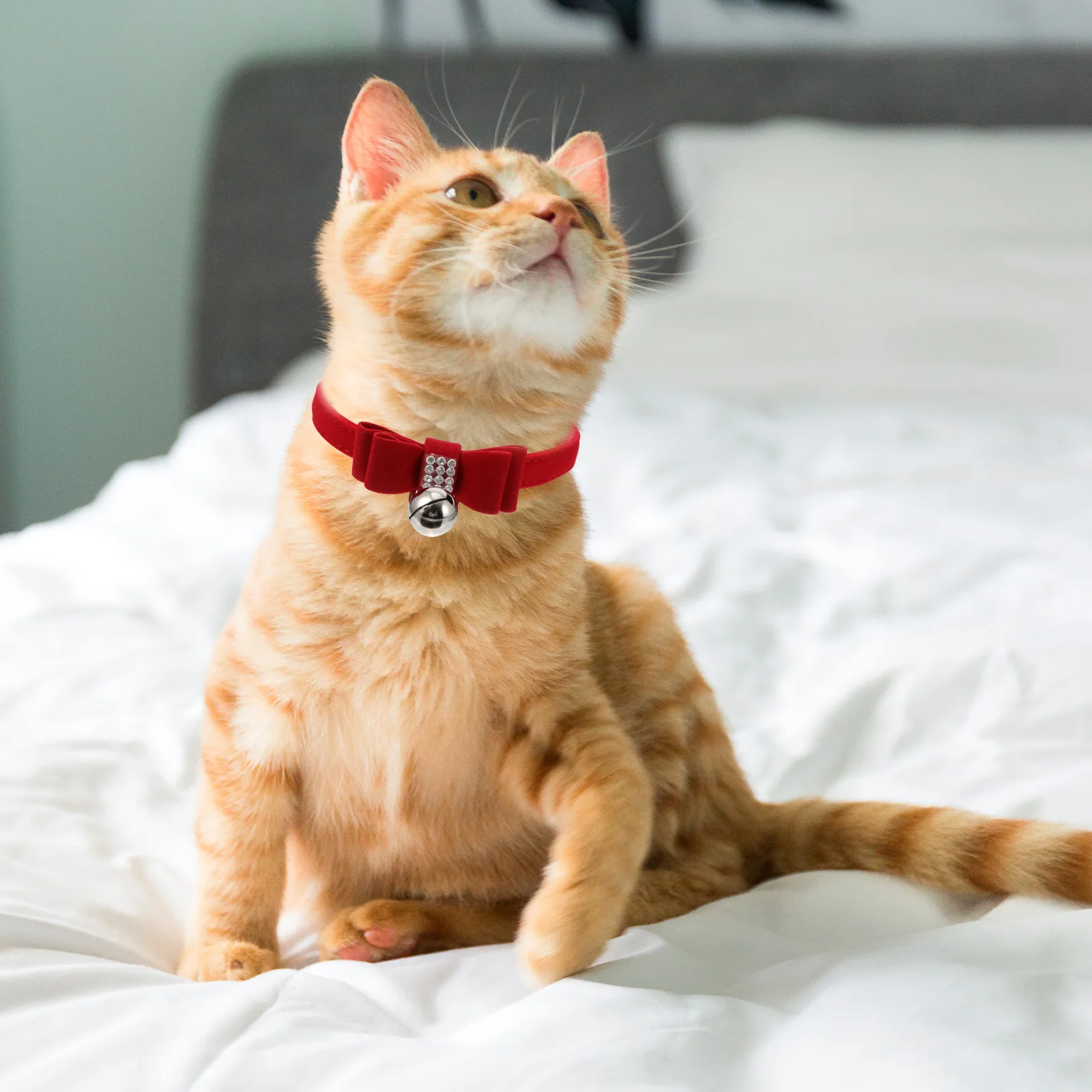 Bell Rhinestone Pet Collar Bell Cat Dog Bow Necklace Stylish Christmas Gift Puppy Collar Pet Accessories Decorative
Bell Rhinestone Pet Collar Bell Cat Dog Bow Necklace Stylish Christmas Gift Puppy Collar Pet Accessories Decorative