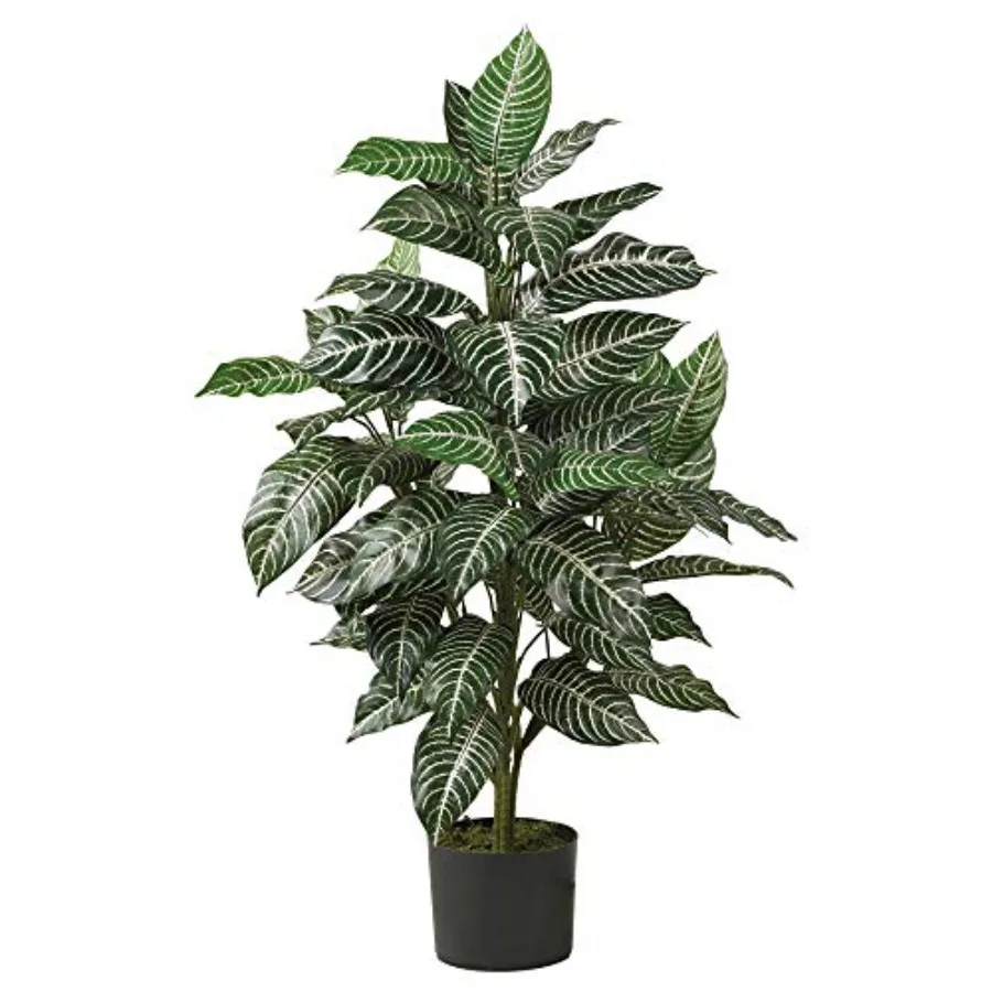 3ft Zebra Silk Plant
3ft Zebra Silk Plant