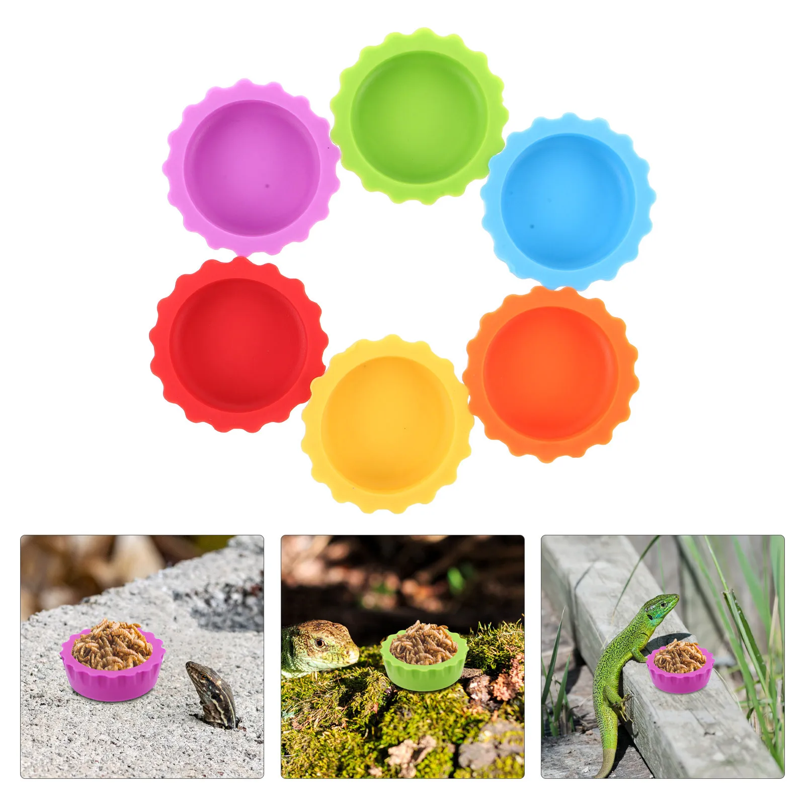 30pcs Reptile Feeding Cups Leaf-Shaped Gecko Food Bowl Durable Plastic Water Dish For Lizard Snake Bearded Dragon Chameleon
30pcs Reptile Feeding Cups Leaf-Shaped Gecko Food Bowl Durable Plastic Water Dish For Lizard Snake Bearded Dragon Chameleon