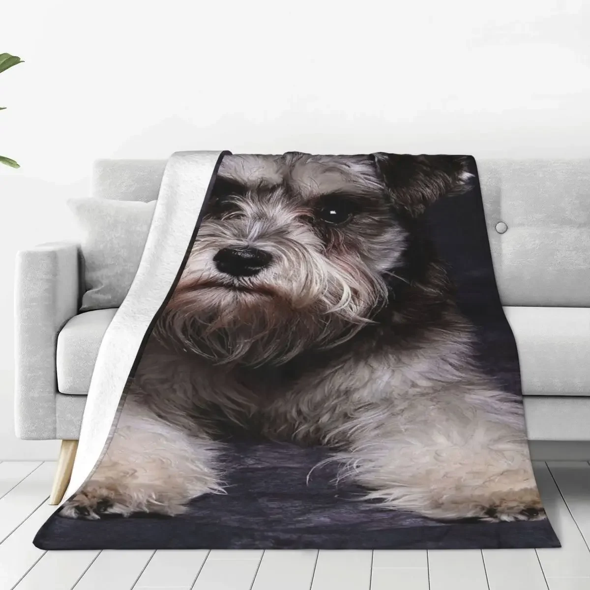 Cute Baby Blankets Sofa Cover Flannel All Season Animal Dog Multifunction Warm Throw Blanket for Bed Car Bedspread
Cute Baby Blankets Sofa Cover Flannel All Season Animal Dog Multifunction Warm Throw Blanket for Bed Car Bedspread