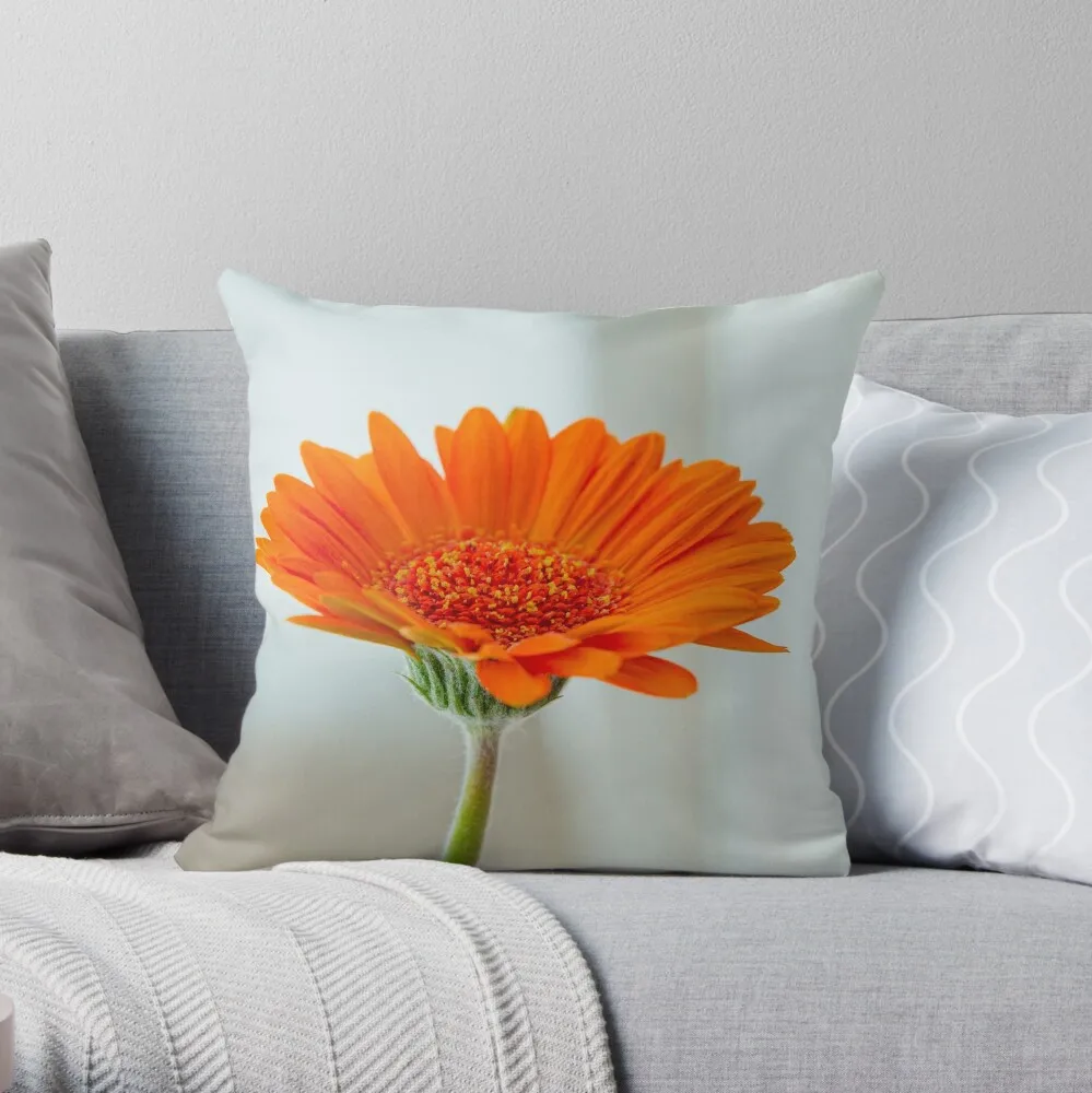 Orange gerbera flower on white background Throw Pillow Cushion Cover Set Pillow Case
Orange gerbera flower on white background Throw Pillow Cushion Cover Set Pillow Case