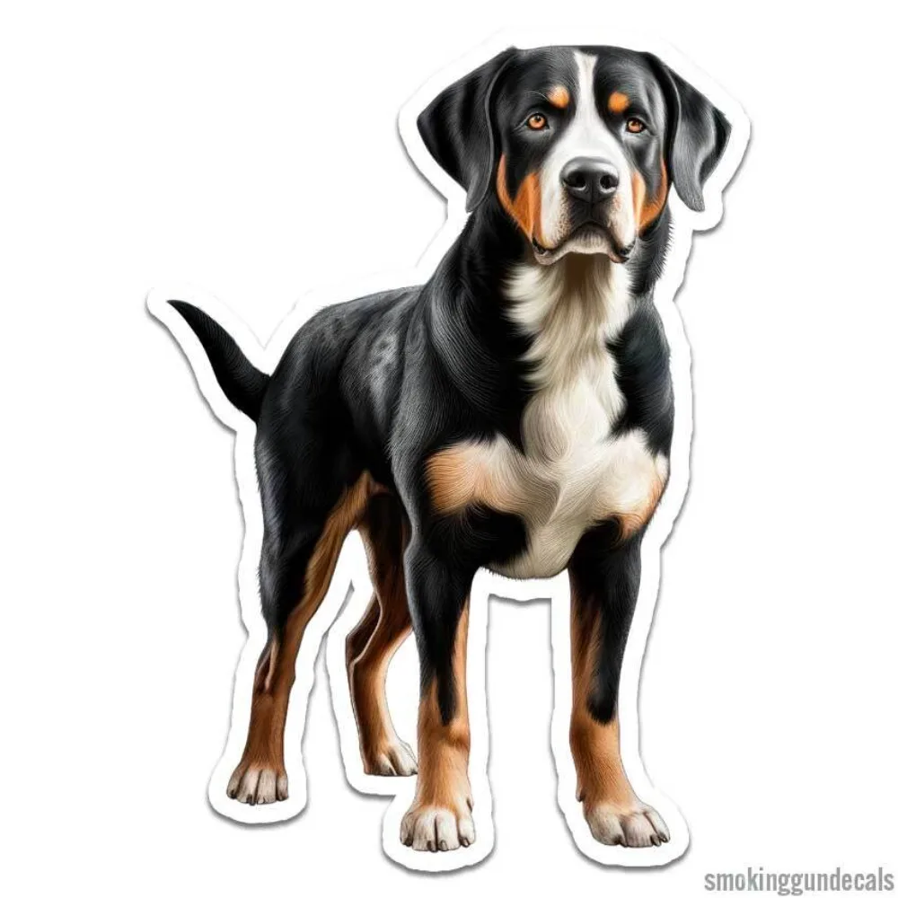 Greater Swiss Mountain Dog Vinyl Decal Sticker Indoor Outdoor Waterproof Car Laptop Window Bumper Cute Vintage Retro
Greater Swiss Mountain Dog Vinyl Decal Sticker Indoor Outdoor Waterproof Car Laptop Window Bumper Cute Vintage Retro
