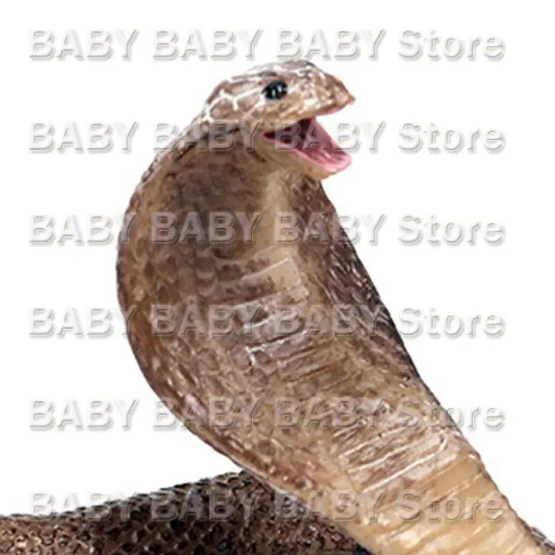 Q81A Realistic Simulation Rubber Snake Toy Garden Joke Prank Gift Halloween Party Props to Scare Birds
Q81A Realistic Simulation Rubber Snake Toy Garden Joke Prank Gift Halloween Party Props to Scare Birds