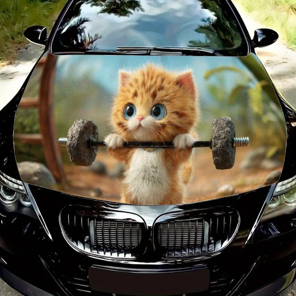Orange Kitten Pattern car hood stickers, waterproof self-adhesive, scratch resistant, easy to stick, durable car PVC stickers, c
Orange Kitten Pattern car hood stickers, waterproof self-adhesive, scratch resistant, easy to stick, durable car PVC stickers, c