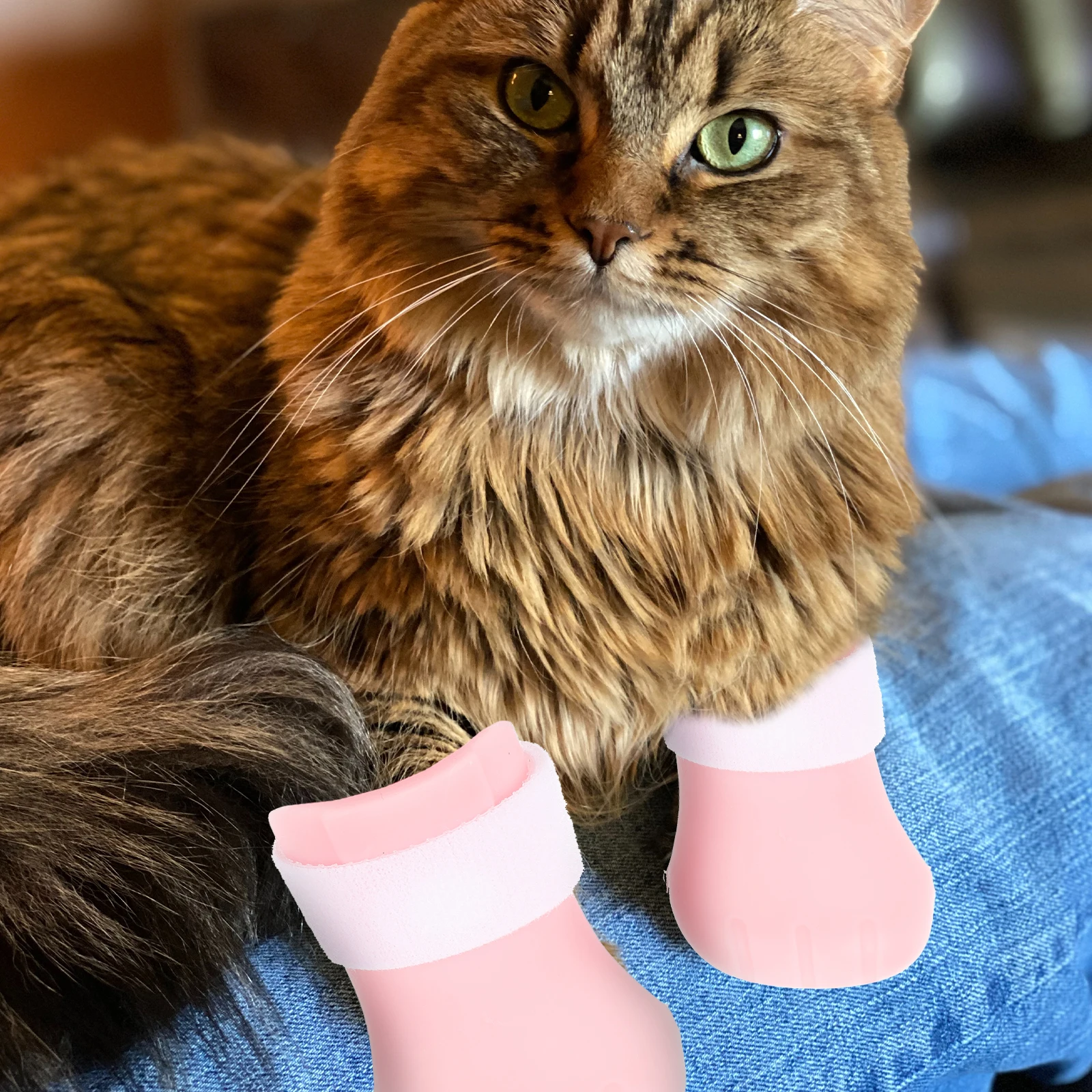 4pcs Paw Boots For Grooming Bathing Bathing Boot Protection Cat Claw Protectors Pet Nail Cover Cat Booties Shoes
4pcs Paw Boots For Grooming Bathing Bathing Boot Protection Cat Claw Protectors Pet Nail Cover Cat Booties Shoes