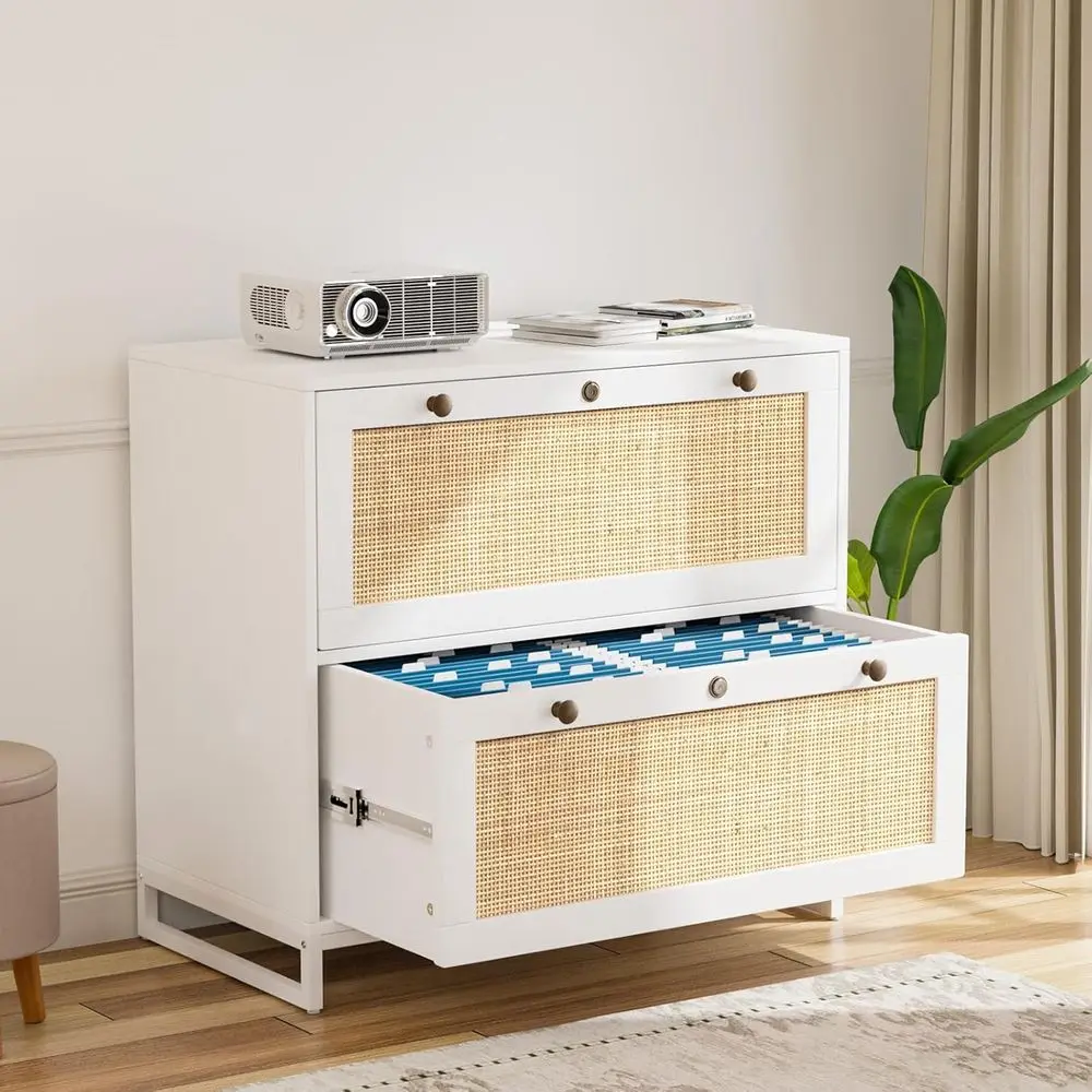Rattan 2 Drawer Lockable Cabinet for Home Office, Printer Stand, Letter/Legal Size Files, 30W x 16D x 28H
Rattan 2 Drawer Lockable Cabinet for Home Office, Printer Stand, Letter/Legal Size Files, 30W x 16D x 28H