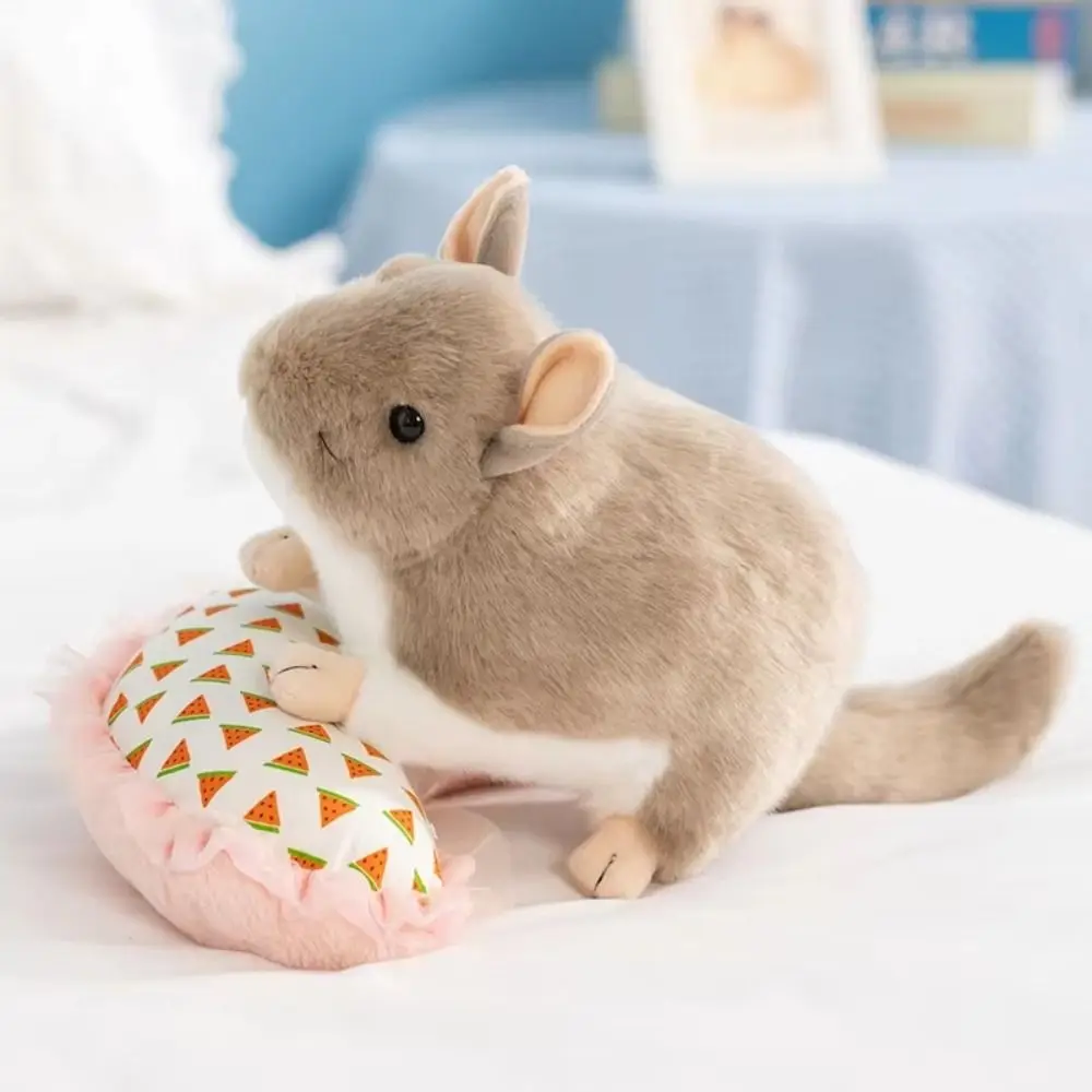Simulation Animal Lifelike Chinchilla Cozy Soft Totoro Grey Color High Quality Simulation Rat Gift Giving
Simulation Animal Lifelike Chinchilla Cozy Soft Totoro Grey Color High Quality Simulation Rat Gift Giving