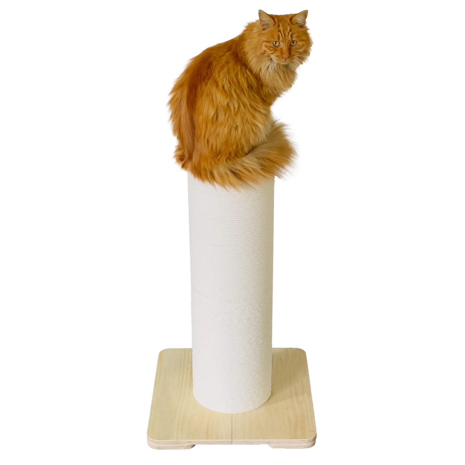 Extra-Large Cat Scratching Post with 7.87” Thick Cat Scratch Post for Biggest Cats
Extra-Large Cat Scratching Post with 7.87” Thick Cat Scratch Post for Biggest Cats
