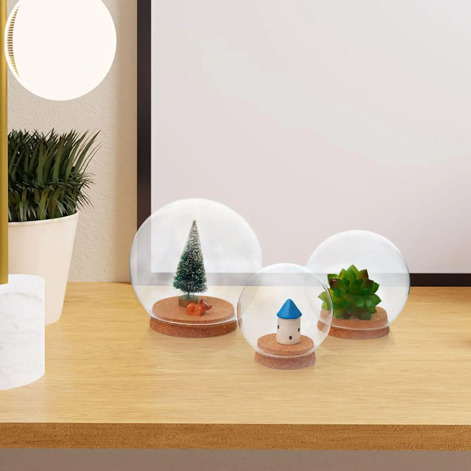 Clear Glass Dome with Wood Stand for Decorative Home Ornaments Modern Interior Decoration and Room Accessories
Clear Glass Dome with Wood Stand for Decorative Home Ornaments Modern Interior Decoration and Room Accessories