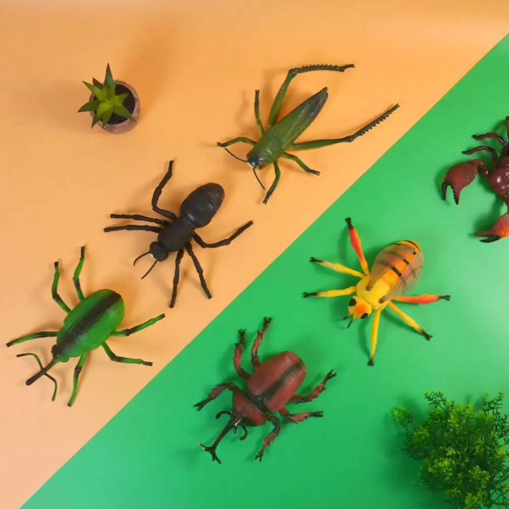 Educational Toy Spiders Simulated Insect Model Grasshopper Simulation Simulation Wildlife Model Insect Model PVC Children Gifts
Educational Toy Spiders Simulated Insect Model Grasshopper Simulation Simulation Wildlife Model Insect Model PVC Children Gifts