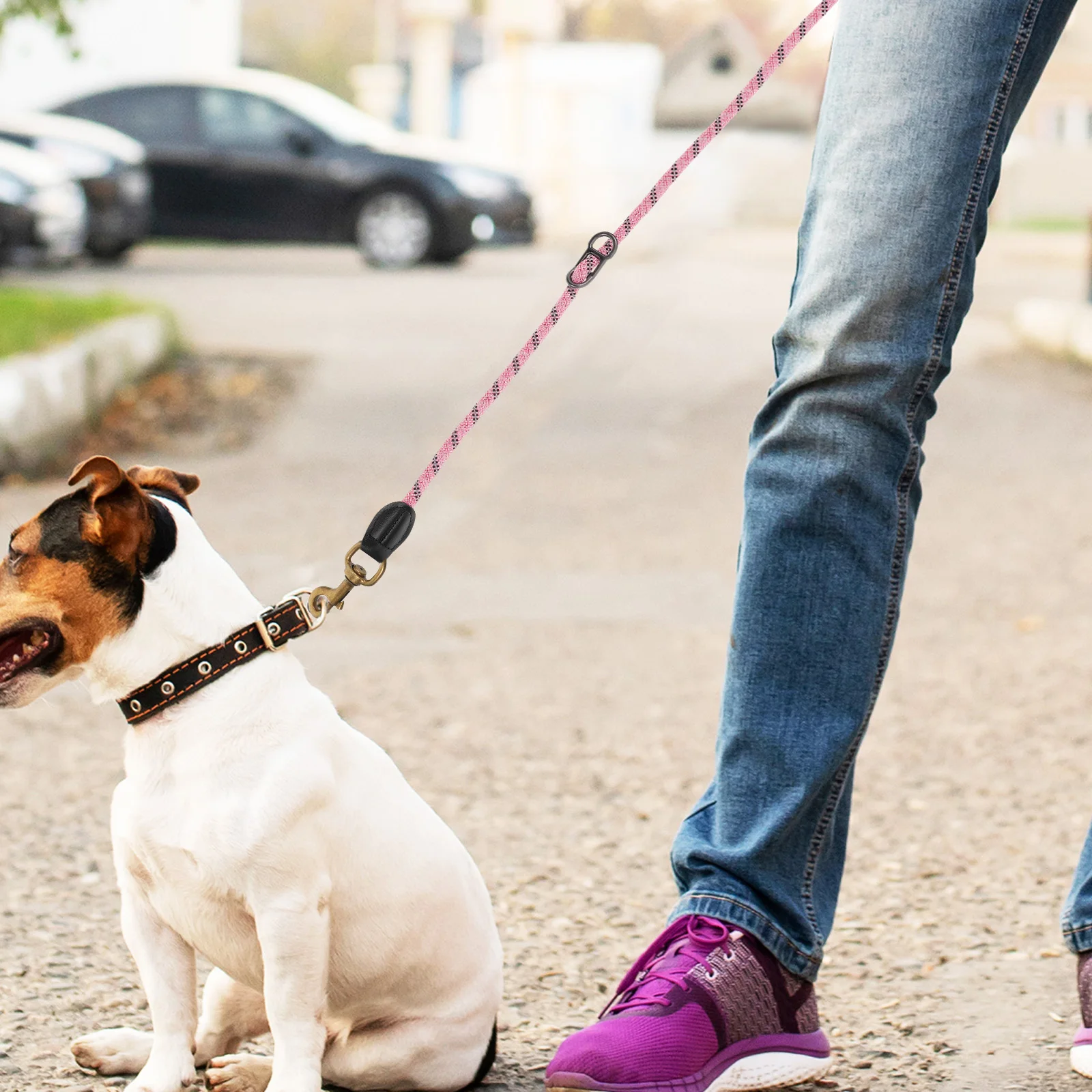 2 Pcs Pet Leash Buckle Dog Collar Clasp Harness Accessories Hooks Supplies Traction Rope Snap
2 Pcs Pet Leash Buckle Dog Collar Clasp Harness Accessories Hooks Supplies Traction Rope Snap