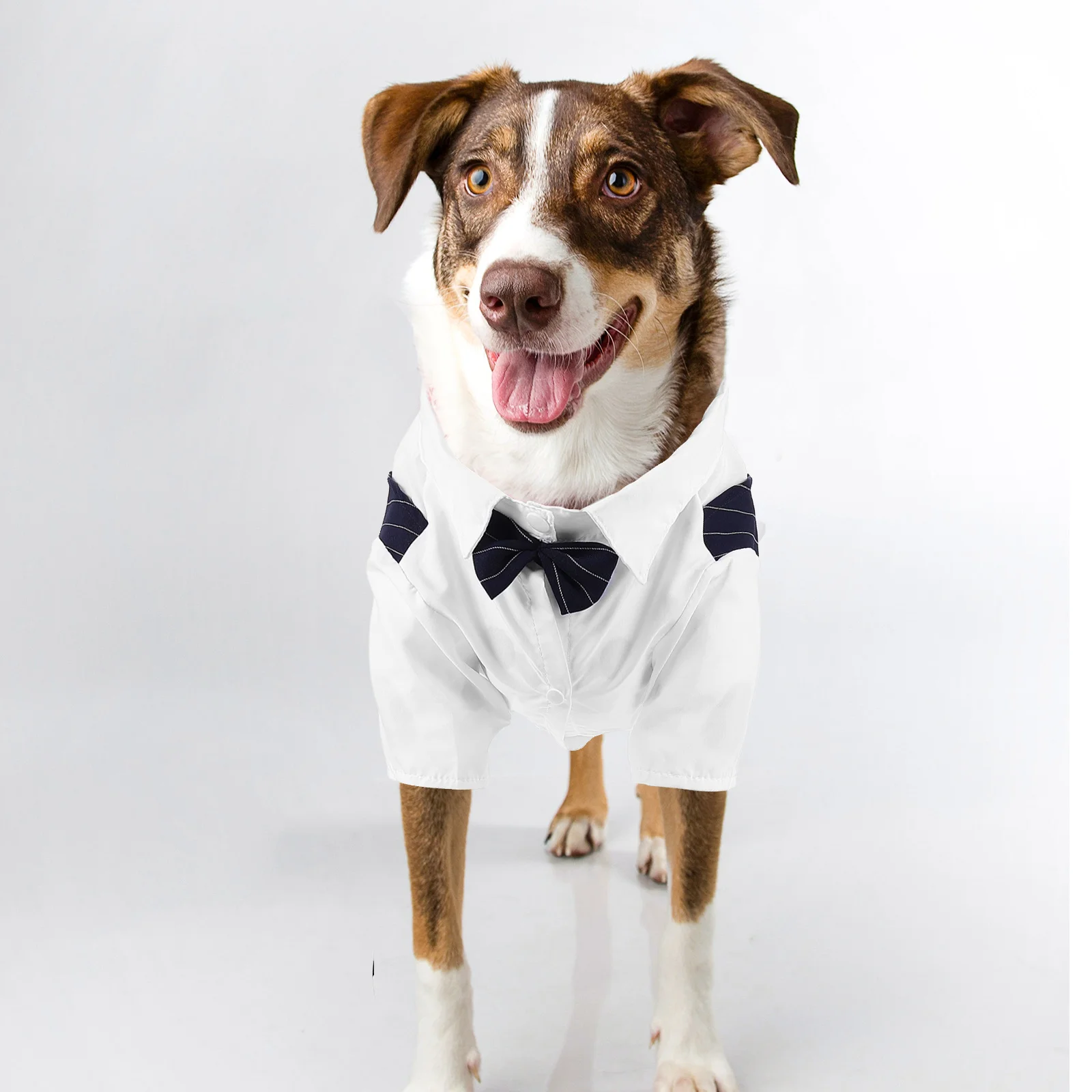 Pet Suit Decorative Puppy Formal Dog Costume Thin Lightweight Wedding Party Attire Washable Reusable Dog Outfit Pet Clothing
Pet Suit Decorative Puppy Formal Dog Costume Thin Lightweight Wedding Party Attire Washable Reusable Dog Outfit Pet Clothing