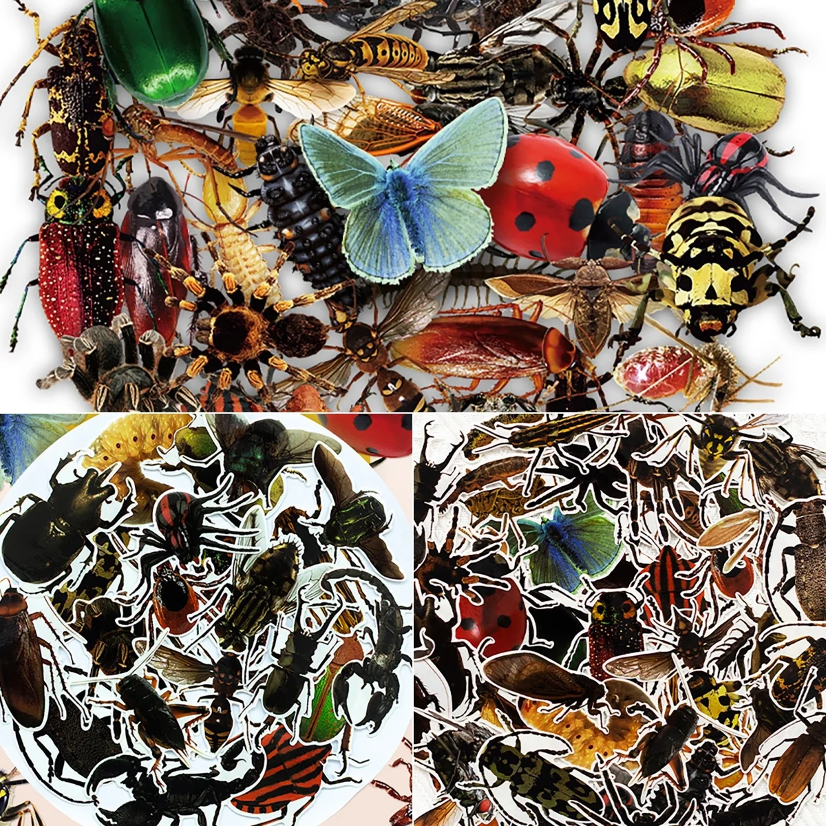 50Pcs Transparent Realistic Insect Stickers Butterfly Spider Graffiti Stickers DIY Water Cup Phone Case Stickers Pack
50Pcs Transparent Realistic Insect Stickers Butterfly Spider Graffiti Stickers DIY Water Cup Phone Case Stickers Pack