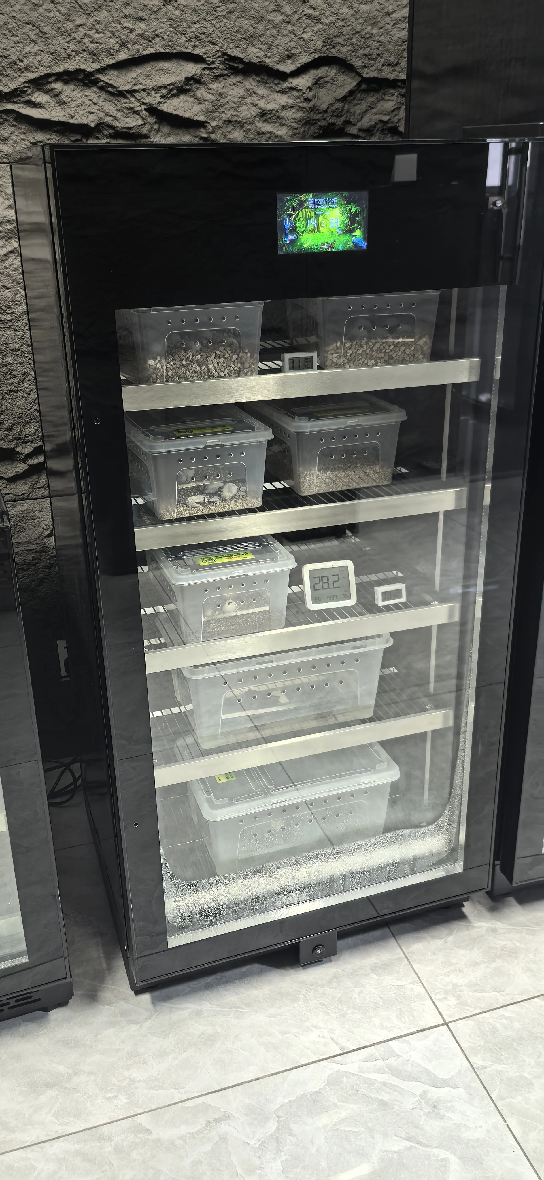 Умный Wiff с постоянной температурой, инкубатор для восхождения домашних животных, инкубатор для ящериц, рептилий, змеи, черепахи, яиц
Умный Wiff с постоянной температурой, инкубатор для восхождения домашних животных, инкубатор для ящериц, рептилий, змеи, черепахи, яиц