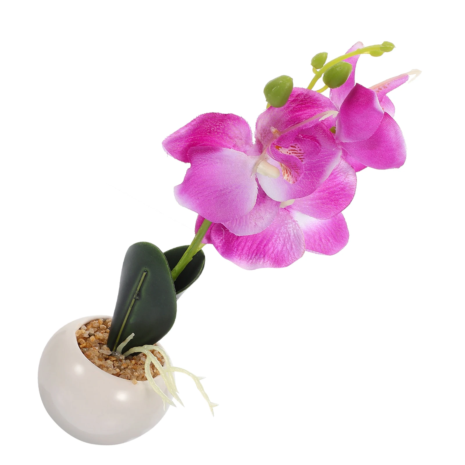 Artificial Phalaenopsis Artificial Plant In Pot Small Size Purple Color Lifelike Silk Cloth Indoor Decor Fake Plants Potted
Artificial Phalaenopsis Artificial Plant In Pot Small Size Purple Color Lifelike Silk Cloth Indoor Decor Fake Plants Potted