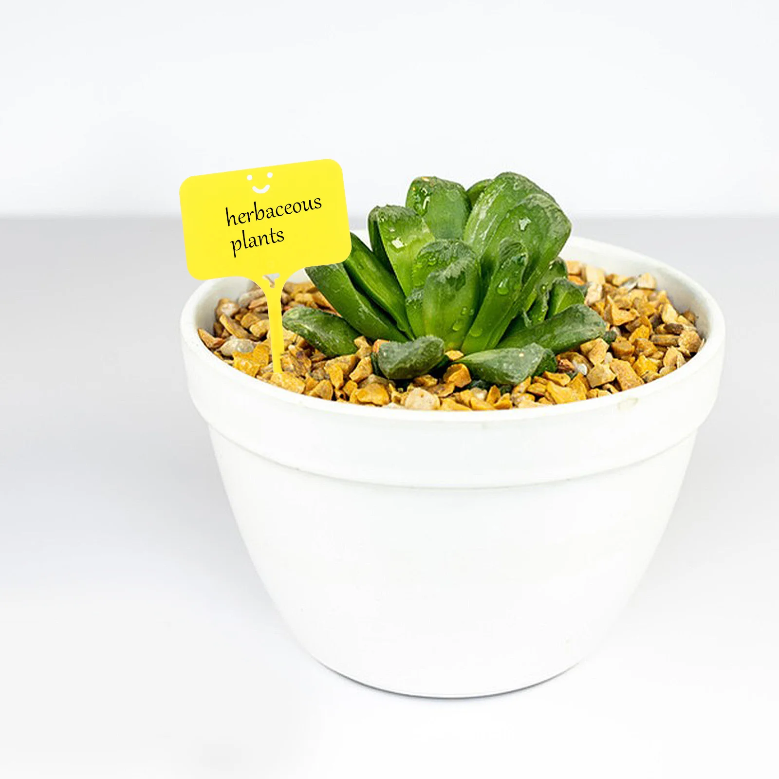 100Pcs T-Type Plant Markers Waterproof Garden Labels Durable Plastic Tags for Outdoor Nursery Plants Accessories
100Pcs T-Type Plant Markers Waterproof Garden Labels Durable Plastic Tags for Outdoor Nursery Plants Accessories