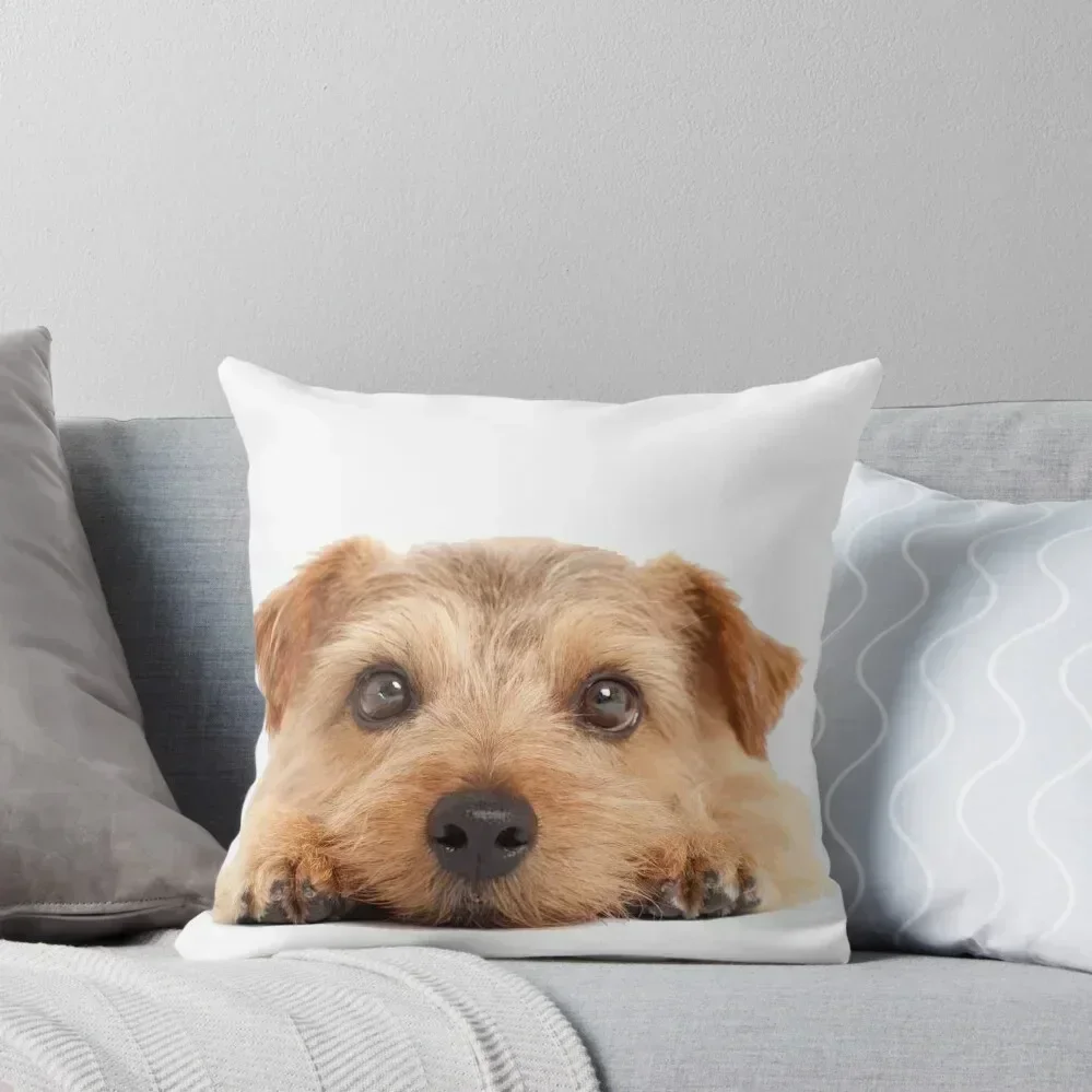 Norfolk Terrier Throw Pillow pillow cover luxury Cushion Covers For Living Room sleeping pillows Anime pillow
Norfolk Terrier Throw Pillow pillow cover luxury Cushion Covers For Living Room sleeping pillows Anime pillow