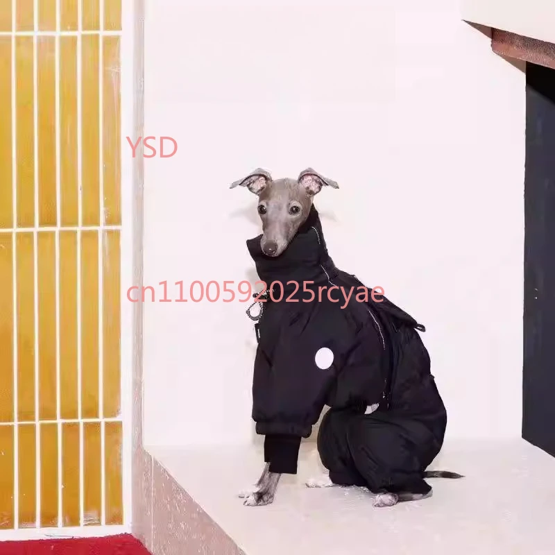 New Autumn Winter Medium Dog Turtleneck Coat - Windproof Warm Eco-Cotton Padded Clothes
New Autumn Winter Medium Dog Turtleneck Coat - Windproof Warm Eco-Cotton Padded Clothes