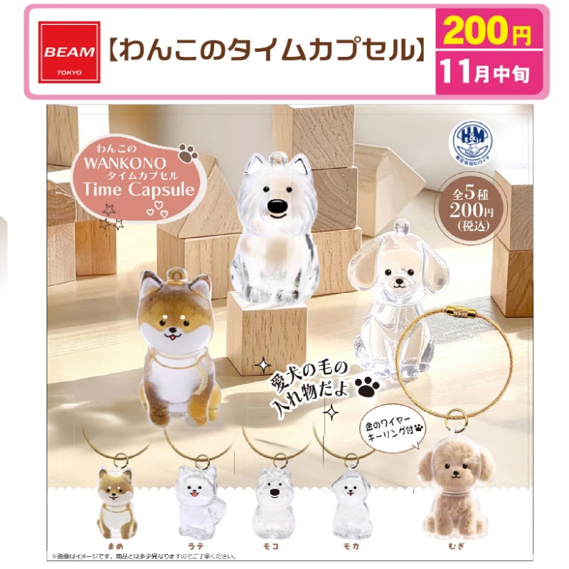 ноябрь. Предпродажа, игрушки Beam gachapon, капсула времени, контейнер для хранения меха щенка, померанский шпиц, бишон Шиба-ину, подвесные фигурки с памятью для домашних животных
ноябрь. Предпродажа, игрушки Beam gachapon, капсула времени, контейнер для хранения меха щенка, померанский шпиц, бишон Шиба-ину, подвесные фигурки с памятью для домашних животных