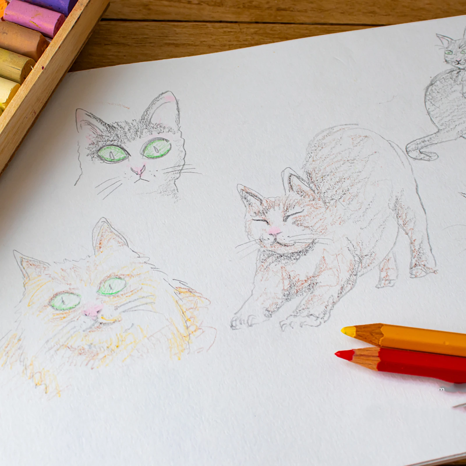Sketch Paper Painting Card Watercolor Paperboard Blank Drawing for Kids Students Art Supplies Compatible with Pencils Ink
Sketch Paper Painting Card Watercolor Paperboard Blank Drawing for Kids Students Art Supplies Compatible with Pencils Ink