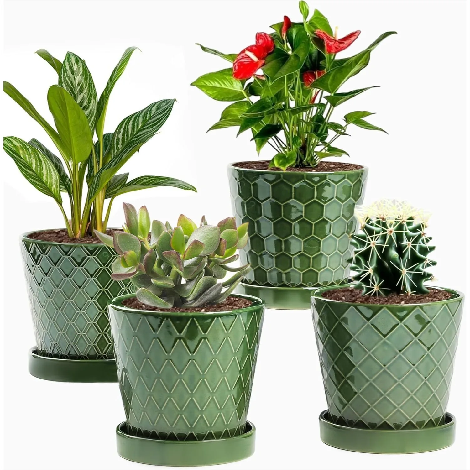 Ceramic Flower Planter 5 Inch with Drainage Hole and Tray, Set of 4 for Home Office Decor
Ceramic Flower Planter 5 Inch with Drainage Hole and Tray, Set of 4 for Home Office Decor