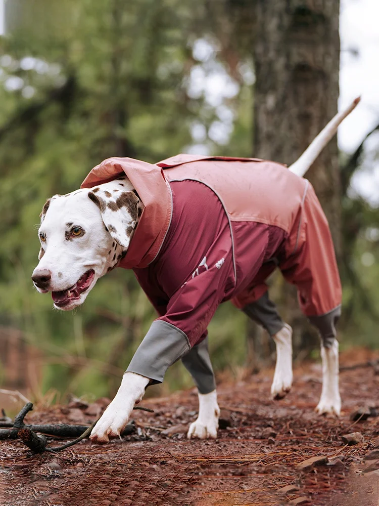 BlackDoggy Waterproof Dog Raincoat Lightweight Outdoor Casual Style Pet Clothes for Small Dogs Four Legs Design Windproof Dus...
BlackDoggy Waterproof Dog Raincoat Lightweight Outdoor Casual Style Pet Clothes for Small Dogs Four Legs Design Windproof Dus...