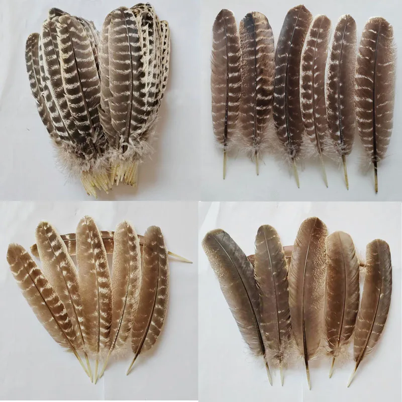 Wild Turkey Feathers,100Pieces-NATURAL BARRED Wild Turkey Wing Round Quill Feathers,Turkey Square Quills,Feathers Decoration
Wild Turkey Feathers,100Pieces-NATURAL BARRED Wild Turkey Wing Round Quill Feathers,Turkey Square Quills,Feathers Decoration