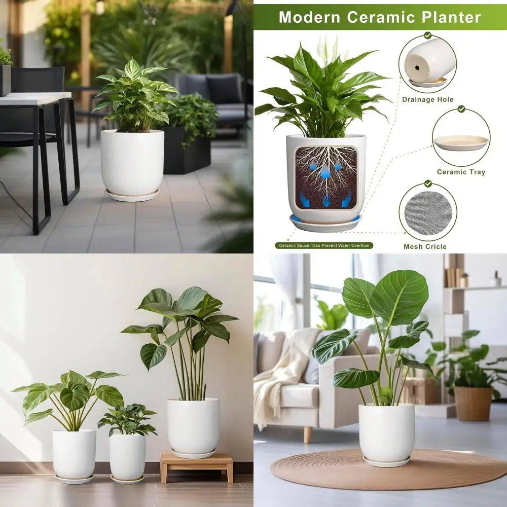 Горшок для растений 12-дюймовый — большой горшок для растений Ceic или растений в помещении и на открытом воздухе с дренажным отверстием и блюдцем - Ern lower Pot Cyl
Горшок для растений 12-дюймовый — большой горшок для растений Ceic или растений в помещении и на открытом воздухе с дренажным отверстием и блюдцем - Ern lower Pot Cyl