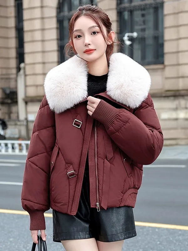 New 2025 Sli Loose Cotton Jaet Beautiful Large Fur Collar ort Outerwear Faionable Korean Sle Women's Coat
New 2025 Sli Loose Cotton Jaet Beautiful Large Fur Collar ort Outerwear Faionable Korean Sle Women's Coat