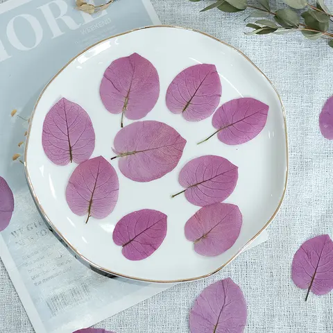 3-5cm/24pcs,nature bougainvillea glabra pressed flower,real dried flower DIY bookmark mobile phone case plant specimen sticker
