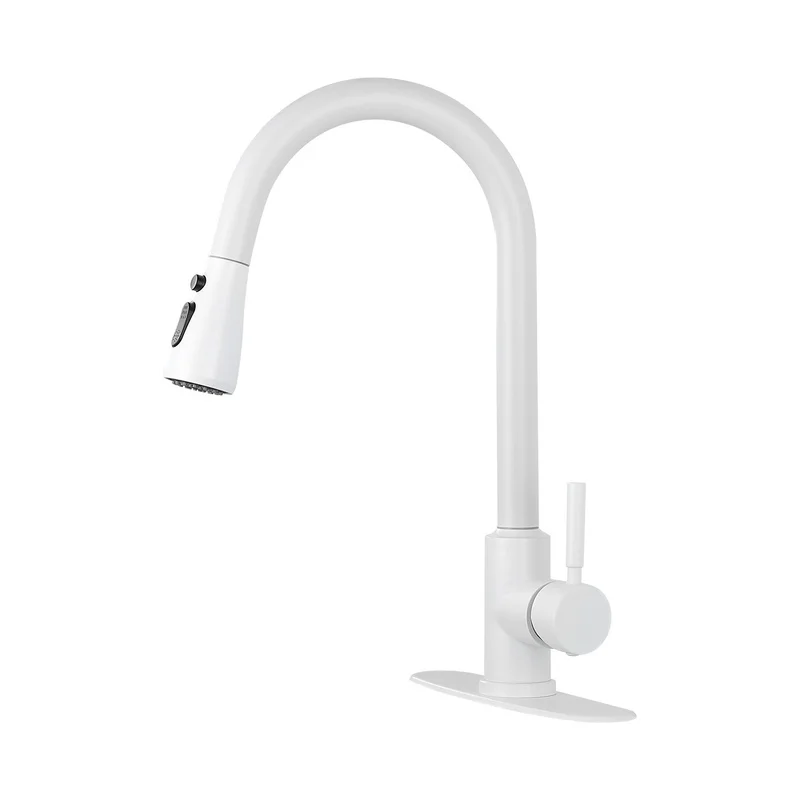 Pull-Out Kitchen Faucet with Modern Spray Head
Pull-Out Kitchen Faucet with Modern Spray Head