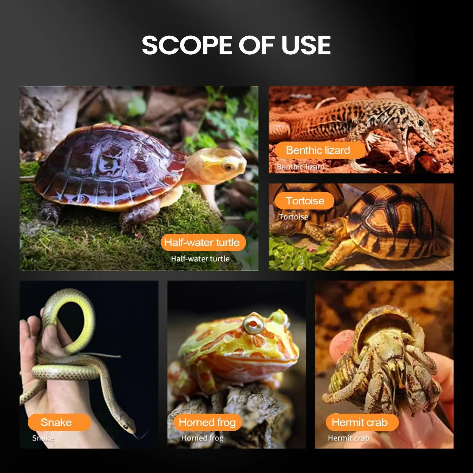 Корпус для прыжков-пауков, устойчивый к побеге, акриловый среда обитания рептилий, лягушка, среда обитания, рептилия, террариумы, тарантул, танк для лягушки, ящерицы
Корпус для прыжков-пауков, устойчивый к побеге, акриловый среда обитания рептилий, лягушка, среда обитания, рептилия, террариумы, тарантул, танк для лягушки, ящерицы