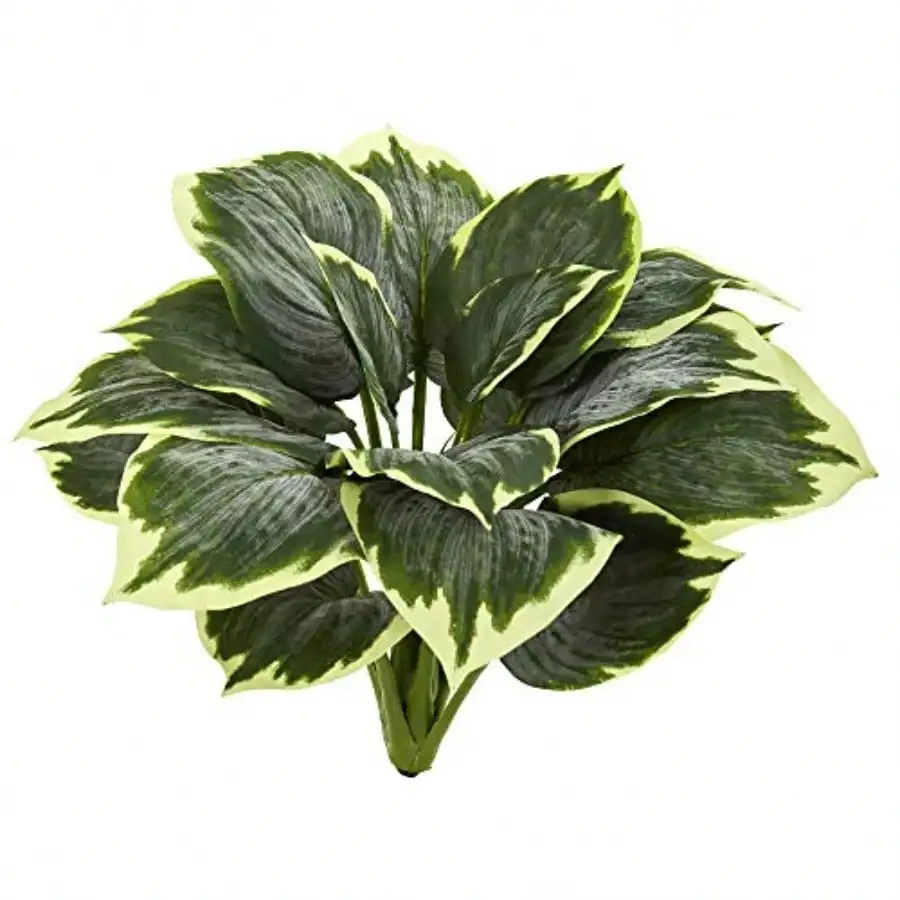 Variegated Hosta Artificial Plant Set Of 6
Variegated Hosta Artificial Plant Set Of 6