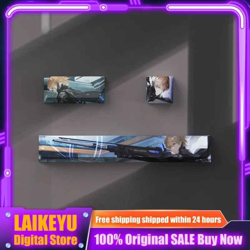 Punishing: Gray Raven Anime Keycap Mechanical Keyboard Cherry PBT Custom Keycap PC Gaming Keyboard Accessories Cartoon Cute Gift
Punishing: Gray Raven Anime Keycap Mechanical Keyboard Cherry PBT Custom Keycap PC Gaming Keyboard Accessories Cartoon Cute Gift