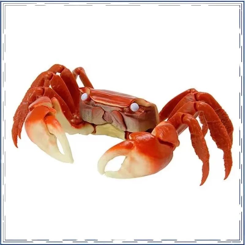 BANDAI Anime Crab Chiromantes Haematocheir Gashapon Christmas Gifts for Children or Collection Genuine Action Figure Model Toys
BANDAI Anime Crab Chiromantes Haematocheir Gashapon Christmas Gifts for Children or Collection Genuine Action Figure Model Toys