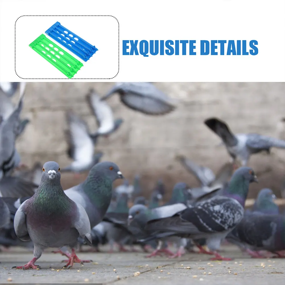 4Pcs Pigeon Ring Holder Sturdy Plastic Rack Quick Installation Racing Pigeon Leg Band Organizer Foot Rings Storage