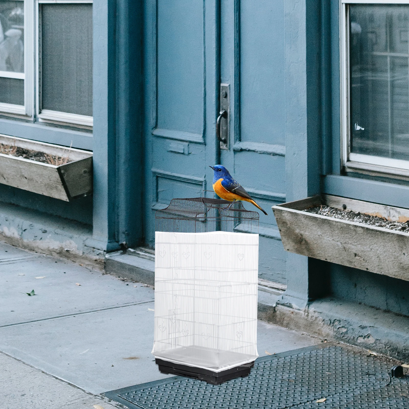 Bird Cage Dust Cover Cloth Protective Parrot Breathable Mesh Net Cage Cover Dust Cloth Pet Supplies Birdcage Travel Premium
Bird Cage Dust Cover Cloth Protective Parrot Breathable Mesh Net Cage Cover Dust Cloth Pet Supplies Birdcage Travel Premium