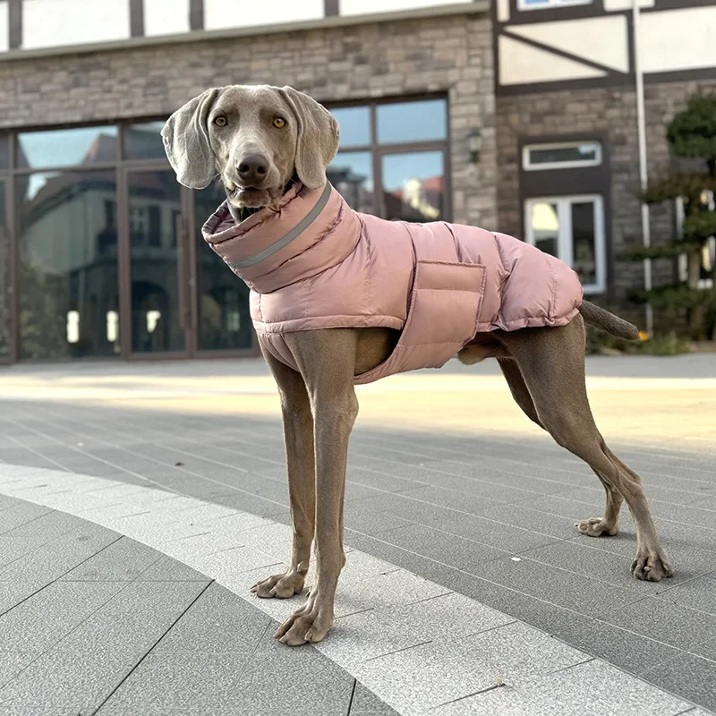 Dog Clothes Autumn and Winter High Collar Medium and Large Dog Waterproof Reflective Warm Pet Cotton-padded Jacket
Dog Clothes Autumn and Winter High Collar Medium and Large Dog Waterproof Reflective Warm Pet Cotton-padded Jacket