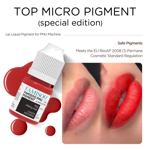 FAMISOO 5ml Lip Ink Permanent Makeup Pigments Eyebrows Henna Professional Semi Permanent Microblading Tattoo Inks for Oily Skin
FAMISOO 5ml Lip Ink Permanent Makeup Pigments Eyebrows Henna Professional Semi Permanent Microblading Tattoo Inks for Oily Skin