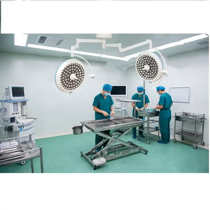 Electric Pet Surgery Table Stainless Steel Folding Design with Removable Drainage Mesh for Veterinary Clinic and Hospital
Electric Pet Surgery Table Stainless Steel Folding Design with Removable Drainage Mesh for Veterinary Clinic and Hospital