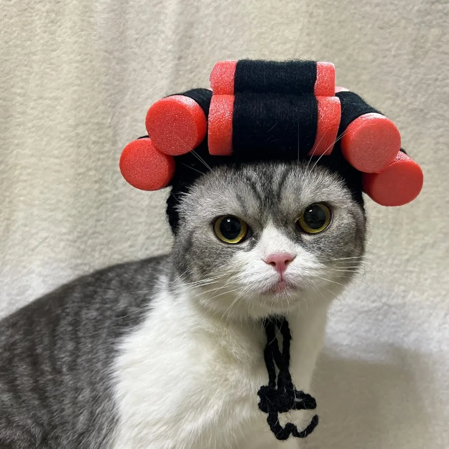 Забавный парик для косплея собаки и кошки, парики для завивки собаки Har для маленьких и средних собак и кошек
Забавный парик для косплея собаки и кошки, парики для завивки собаки Har для маленьких и средних собак и кошек