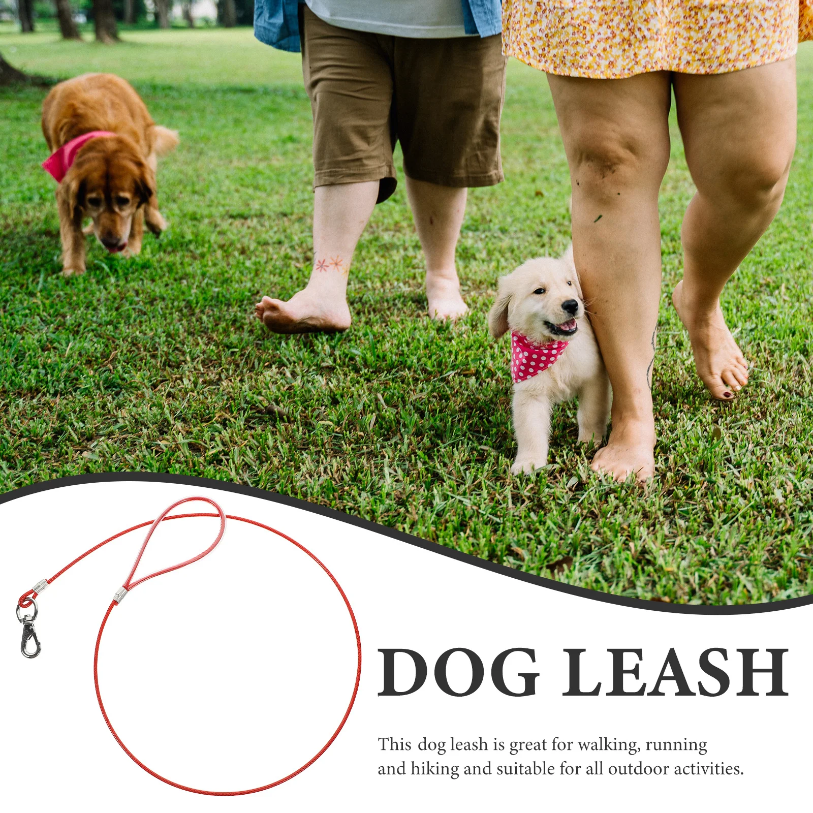 Steel Wire Dog Leash Chew Proof Wear-Resistant Lightweight Portable Puppy Safety Leash Suitable for Daily Walks Competitions
Steel Wire Dog Leash Chew Proof Wear-Resistant Lightweight Portable Puppy Safety Leash Suitable for Daily Walks Competitions