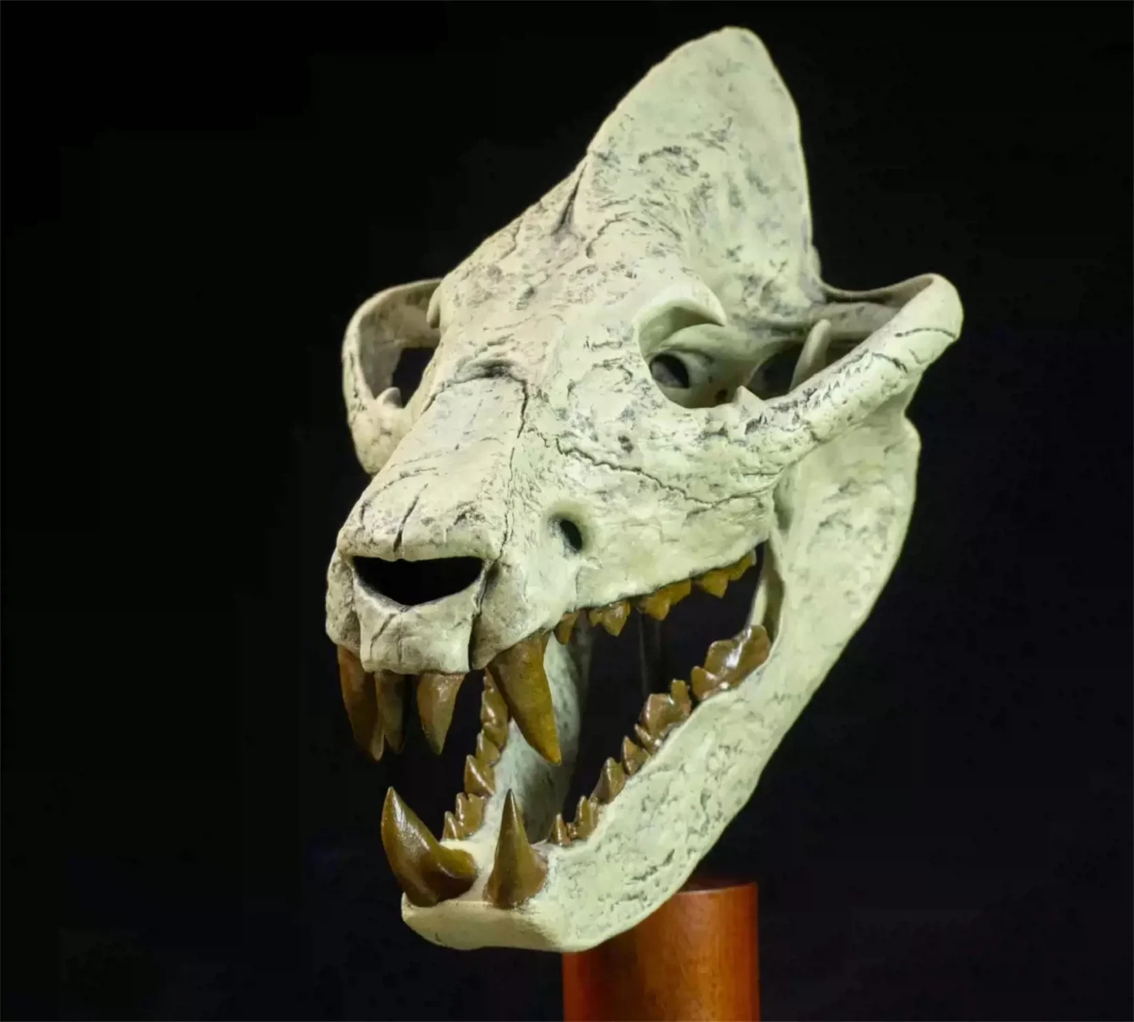 VWUVWU Megistotherium Osteothlastes Skull Model Hyaenodontidae Collection Animal Fossil Decoration Birthday Gift Educational Toy
VWUVWU Megistotherium Osteothlastes Skull Model Hyaenodontidae Collection Animal Fossil Decoration Birthday Gift Educational Toy