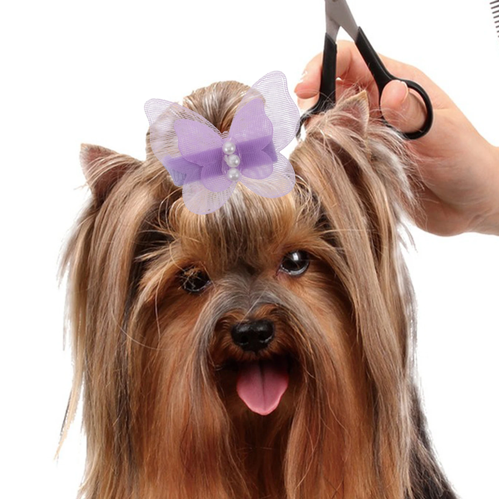 24pcs For Dogs Elegant Pearl Design Secure Grip Butterfly Shape Puppy Accessories Small Dog Barrettes Kawaii Cat Hair
24pcs For Dogs Elegant Pearl Design Secure Grip Butterfly Shape Puppy Accessories Small Dog Barrettes Kawaii Cat Hair