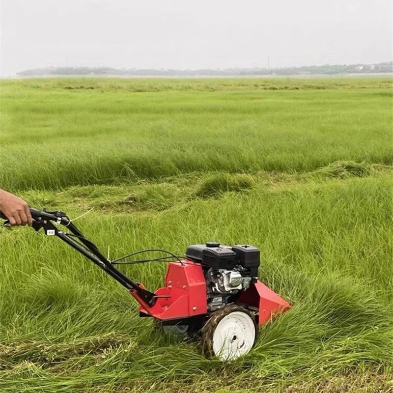 Four-wheel-drive Self-propelled Mower Push-type Lawn Mower Orchard Weed Trimmer Shrub and Brush Cutter 7.5HP Engine(Customized)
Four-wheel-drive Self-propelled Mower Push-type Lawn Mower Orchard Weed Trimmer Shrub and Brush Cutter 7.5HP Engine(Customized)