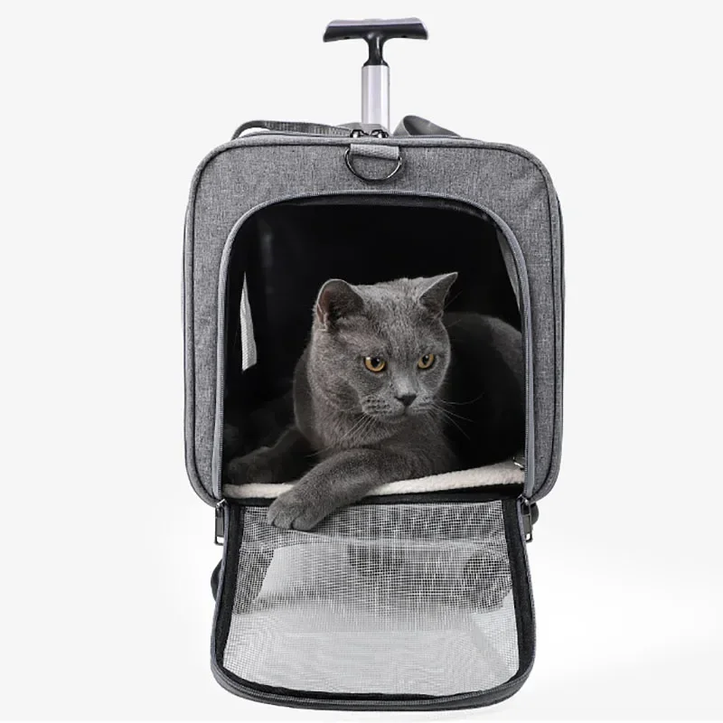 %a Breathable Pet Trolley Case Extra Large Detachable Cat dog travel Carrier bag Curtain Cat Carrier crossbody Multuse Dog Trol 
%a Breathable Pet Trolley Case Extra Large Detachable Cat dog travel Carrier bag Curtain Cat Carrier crossbody Multuse Dog Trol
