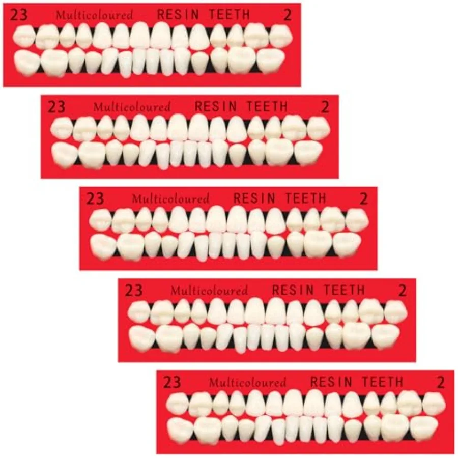 5 Sets Acrylic Resin Fake Teeth Complete Acrylic Resin Denture Teeth Dental Teeth Dentures Upper and Lower Synthetic Polymer To
5 Sets Acrylic Resin Fake Teeth Complete Acrylic Resin Denture Teeth Dental Teeth Dentures Upper and Lower Synthetic Polymer To