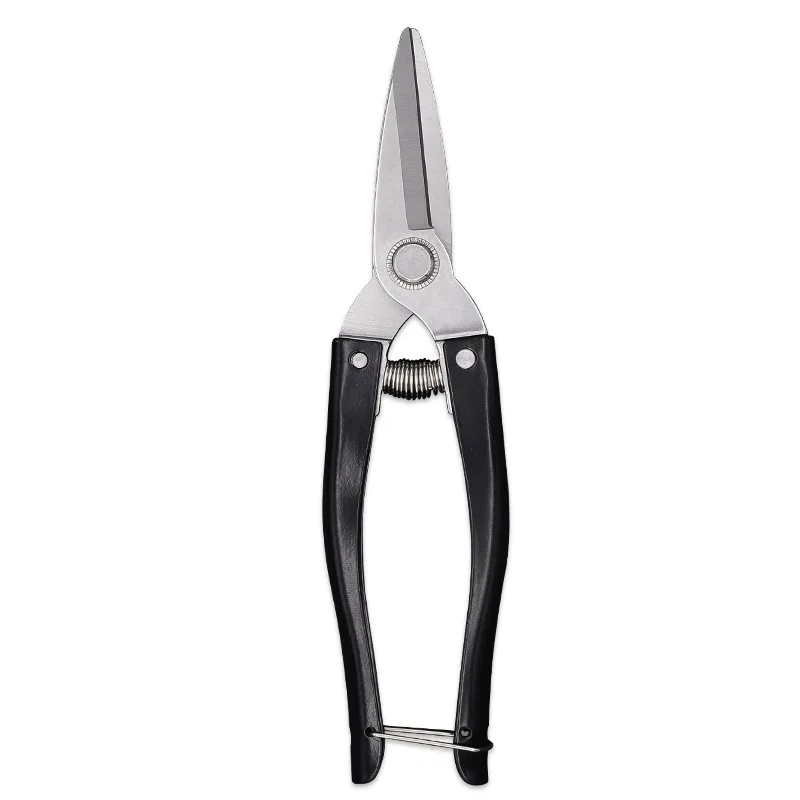 Pruning Scissors, Branches, Fruit Trees, Pruning Scissors, Flowers, Floral Lawn Scissors, Garden Tools
Pruning Scissors, Branches, Fruit Trees, Pruning Scissors, Flowers, Floral Lawn Scissors, Garden Tools
